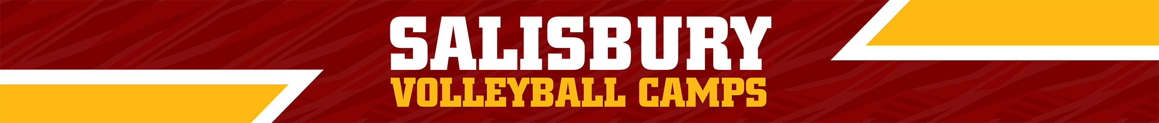 Salisbury Volleyball Camps